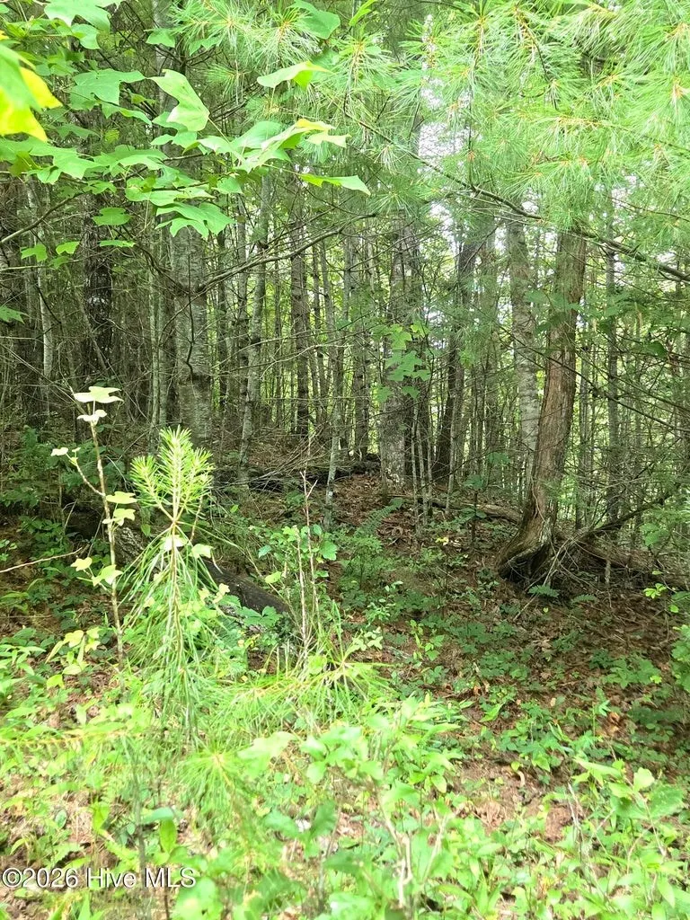 Camp Branch Road Topton, NC 28781