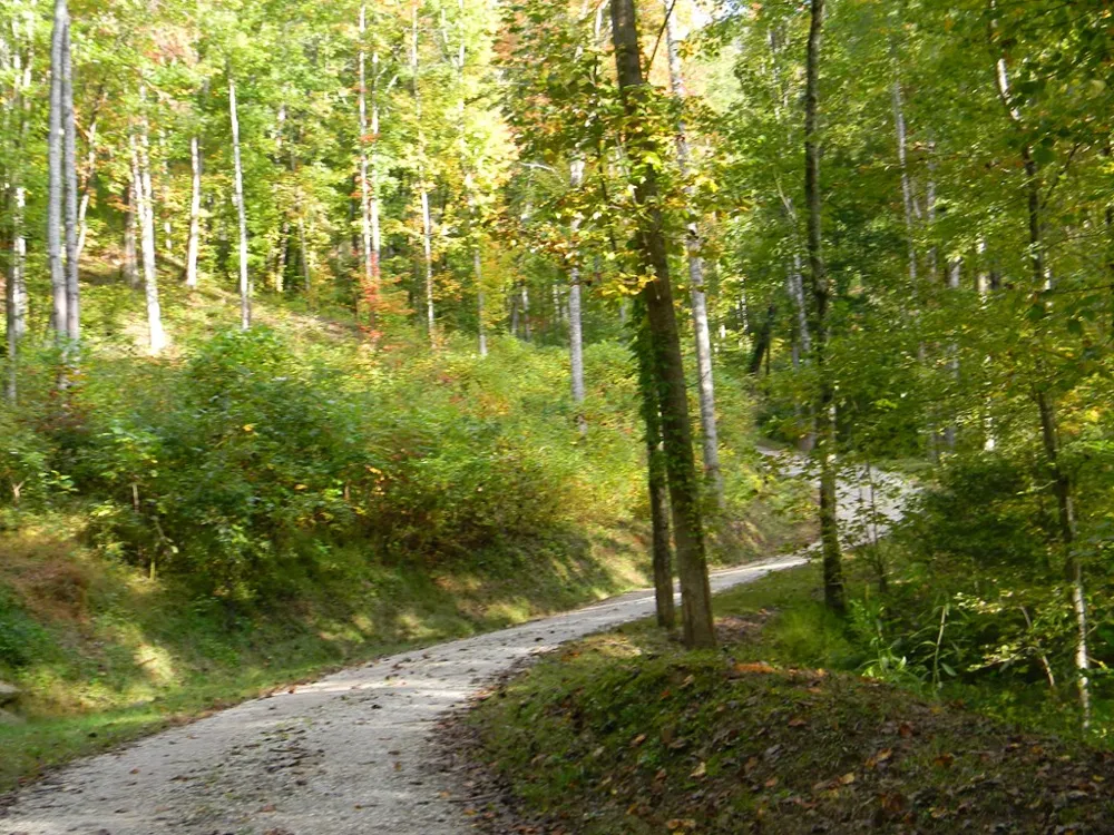 Eagle Crest Way Bryson City, NC 28713