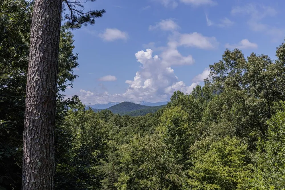 Cloud Ten Road Bryson City, NC 28713