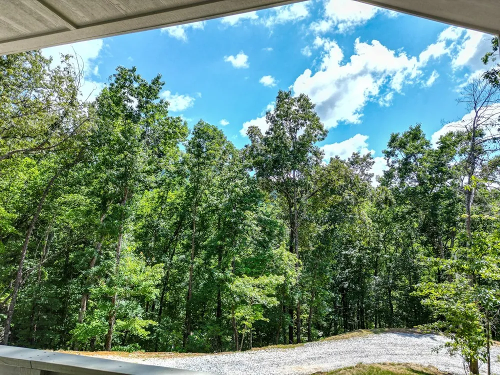 Laurel Springs Dr Bryson City, NC 28713