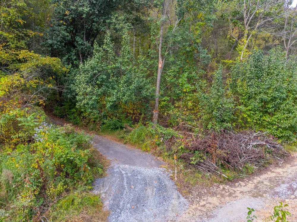 Savannah Meadows Trl Sylva, NC 28779