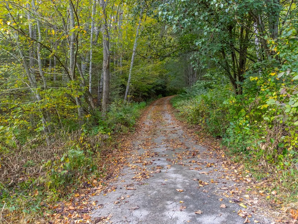 Savannah Meadows Trl Sylva, NC 28779