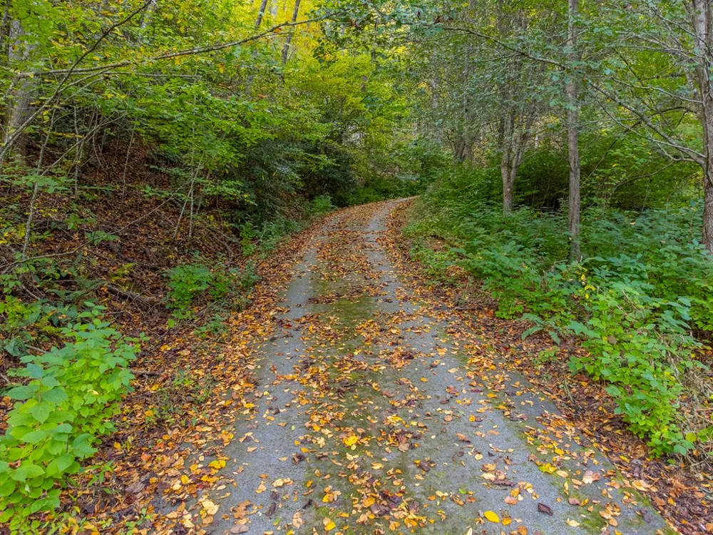 Savannah Meadows Trl Sylva, NC 28779