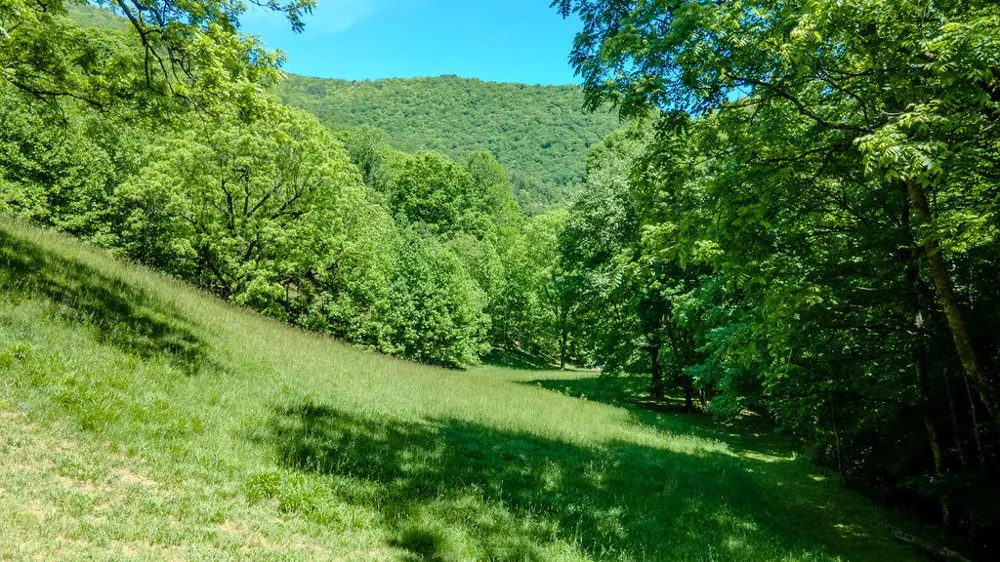 Lakey Creek Road Franklin, NC 28734
