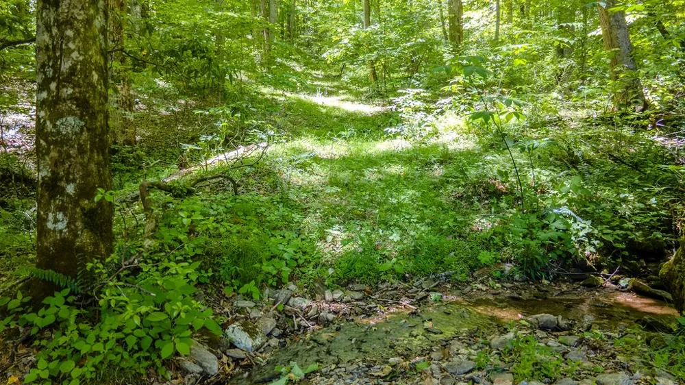 Lakey Creek Road Franklin, NC 28734