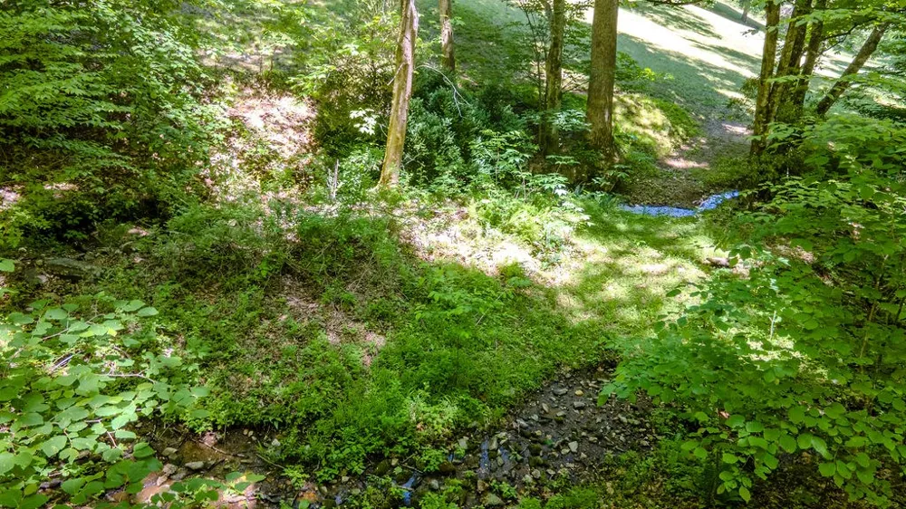 Lakey Creek Road Franklin, NC 28734