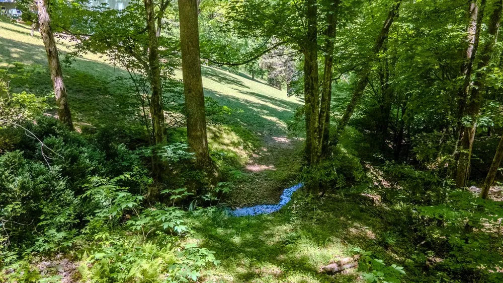 Lakey Creek Road Franklin, NC 28734