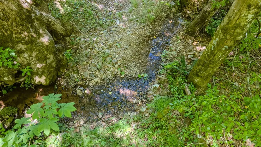 Lakey Creek Road Franklin, NC 28734
