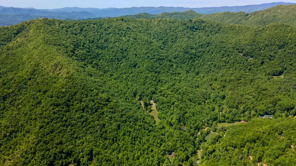 Lakey Creek Road Franklin, NC 28734