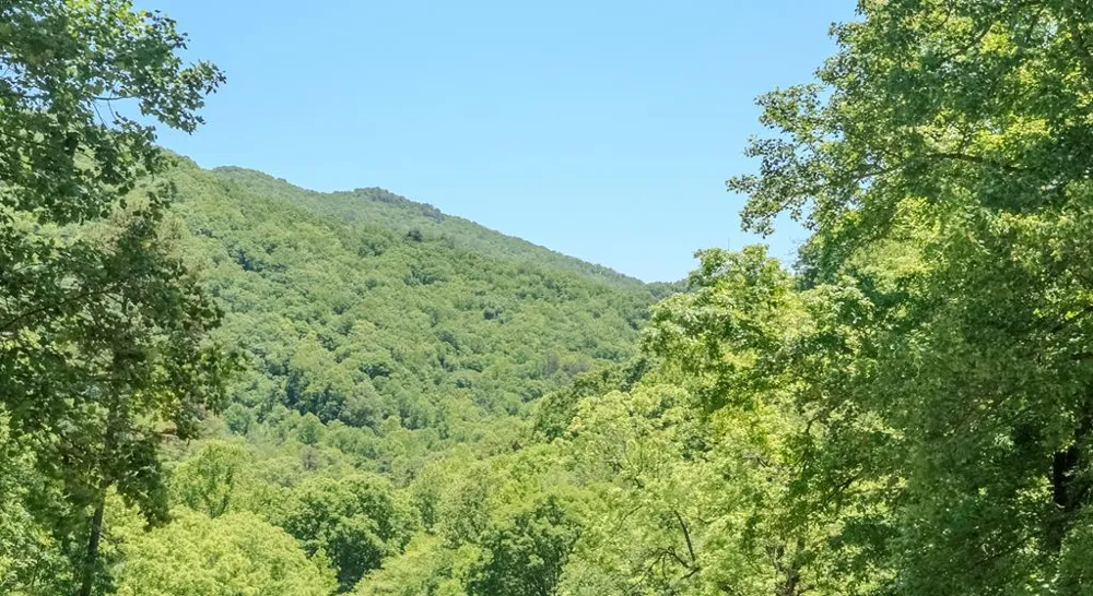 Lakey Creek Road Franklin, NC 28734