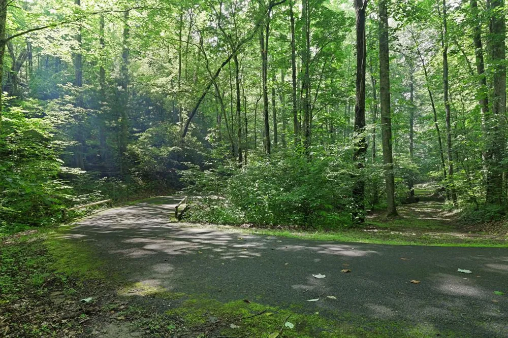 Henry Road Franklin, NC 28734