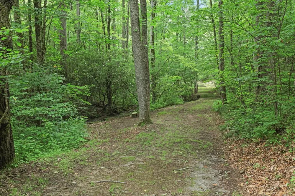 Henry Road Franklin, NC 28734