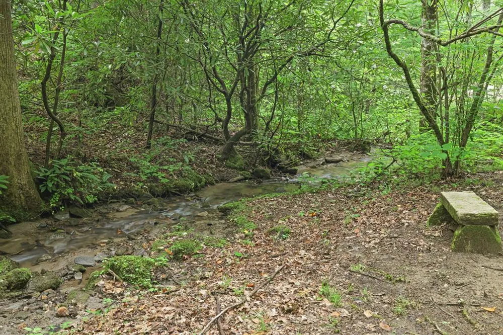 Henry Road Franklin, NC 28734