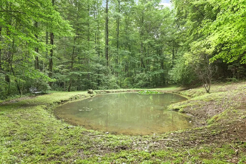 Henry Road Franklin, NC 28734
