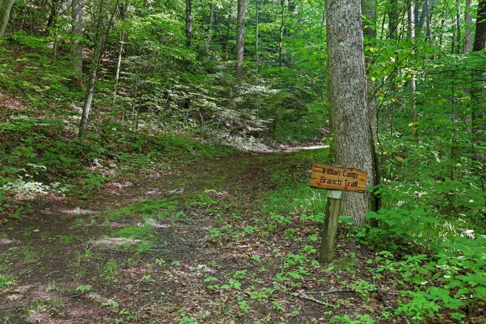 Henry Road Franklin, NC 28734