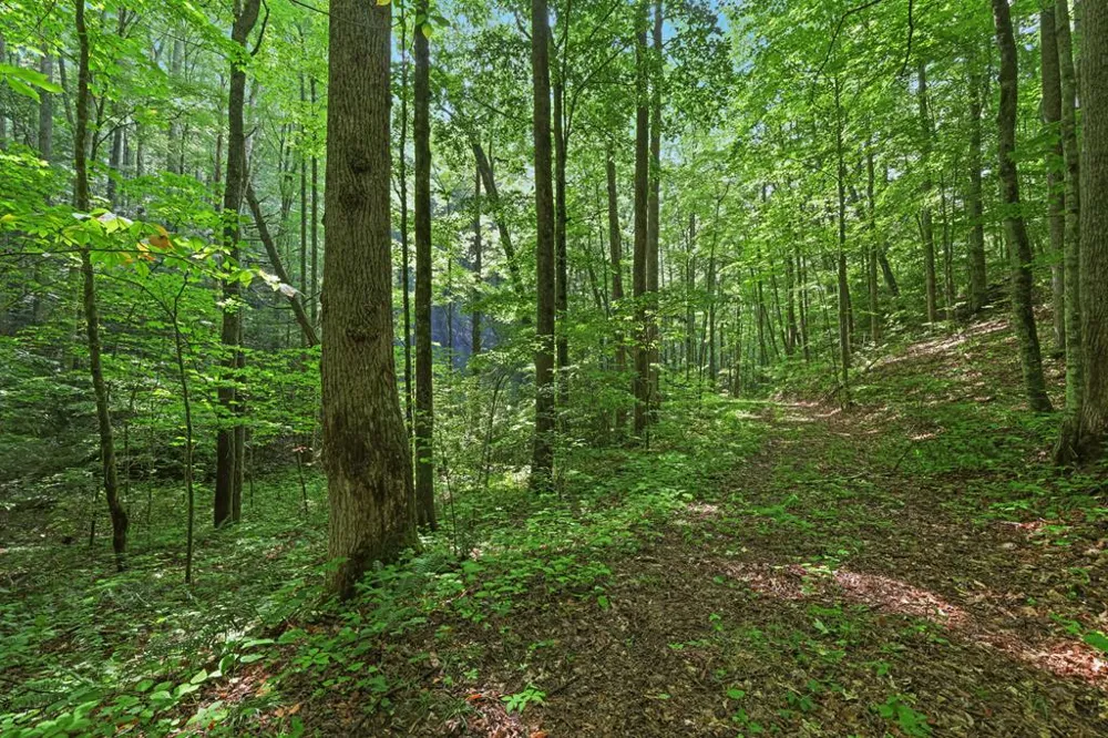Henry Road Franklin, NC 28734