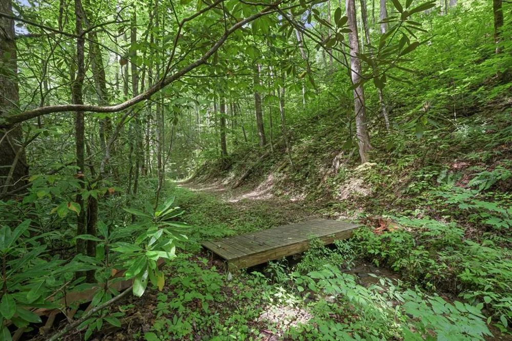 Henry Road Franklin, NC 28734