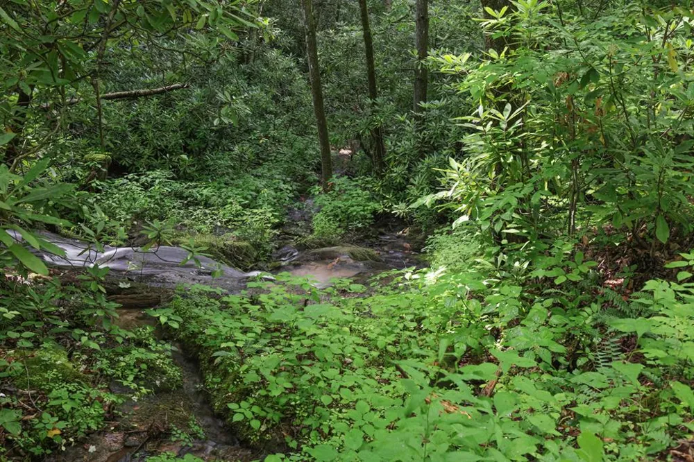 Henry Road Franklin, NC 28734