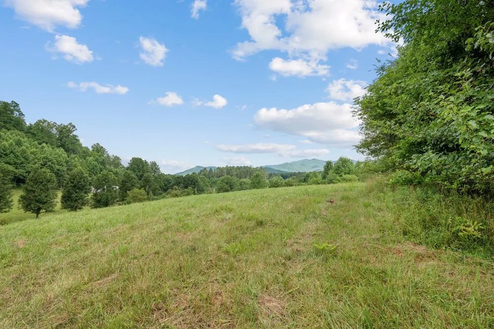 Apple Blossom Rd Franklin, NC 28734