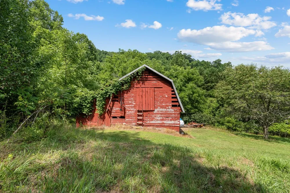 Apple Blossom Rd Franklin, NC 28734