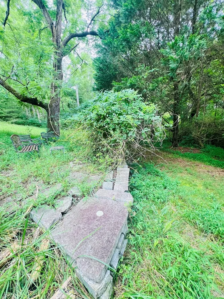 Apple Blossom Rd Franklin, NC 28734