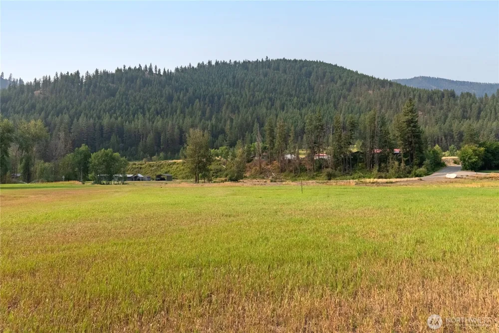 70 A Poorman Creek Road Twisp, WA 98856