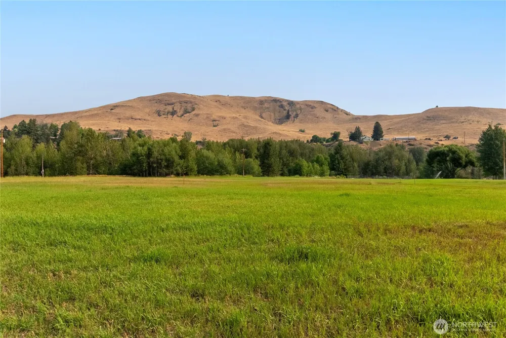 70 A Poorman Creek Road Twisp, WA 98856
