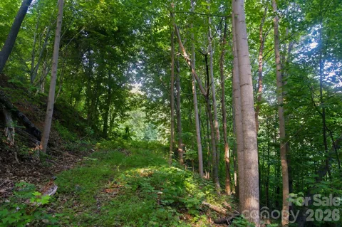 00 Ragans Pointe Pointe #58