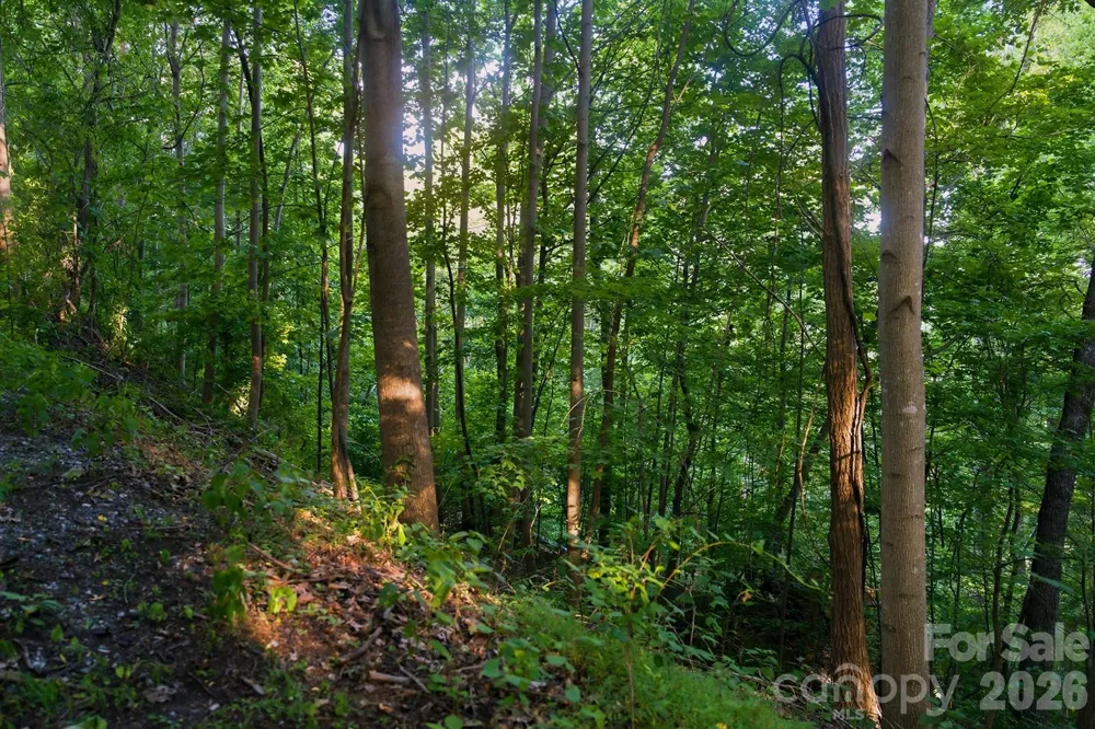 00 Ragans Pointe Pointe #58 Columbus, NC 28722