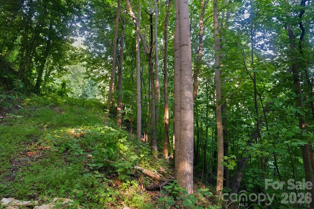 00 Ragans Pointe Pointe #58 Columbus, NC 28722