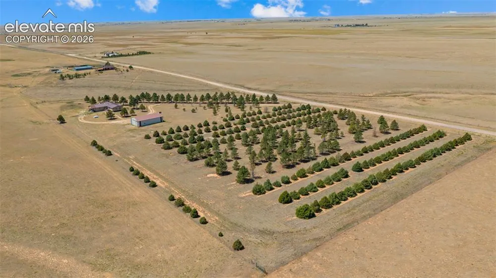 20402 County Road 2 Rush, CO 80833