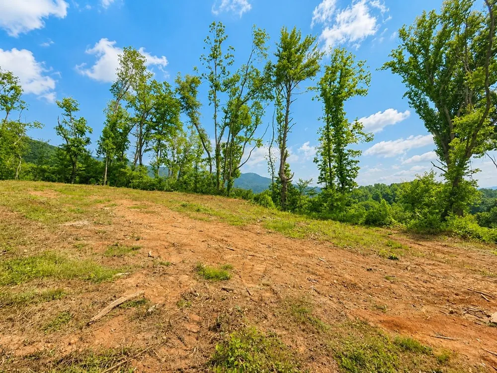 Sorrells Cove Rd Waynesville, NC 28786