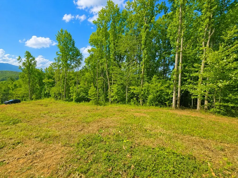 Sorrells Cove Rd Waynesville, NC 28786