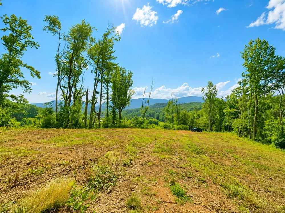 Sorrells Cove Rd Waynesville, NC 28786