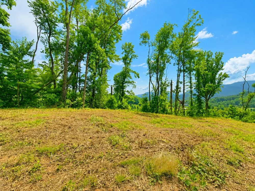 Sorrells Cove Rd Waynesville, NC 28786
