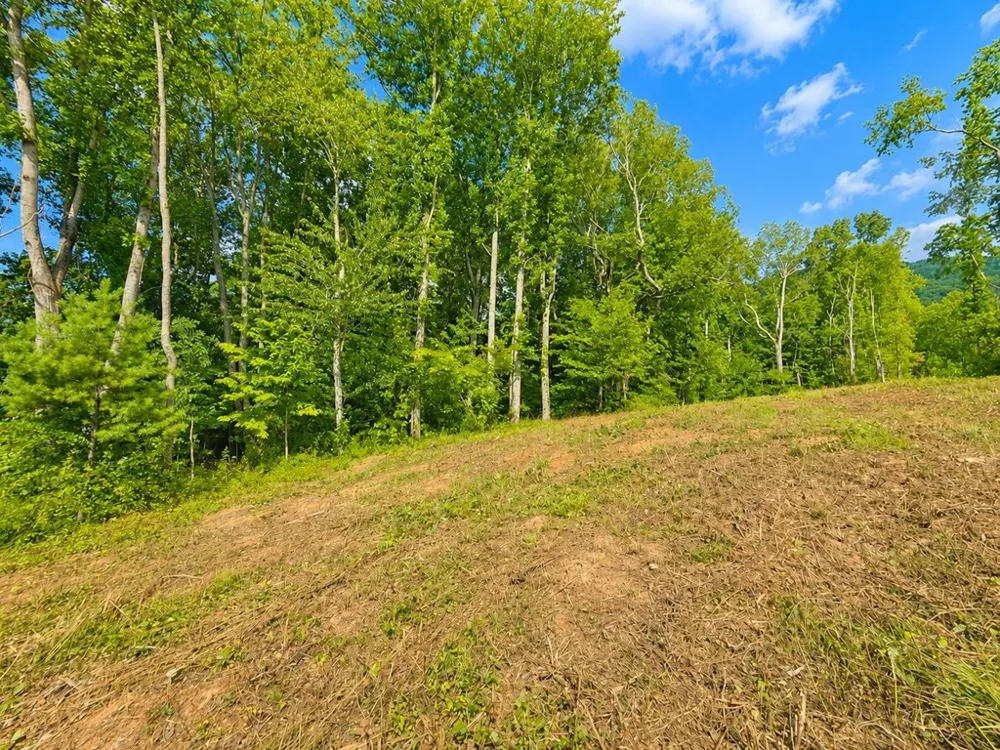 Sorrells Cove Rd Waynesville, NC 28786