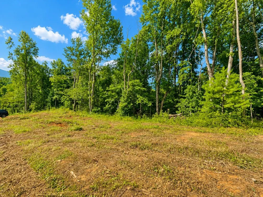 Sorrells Cove Rd Waynesville, NC 28786