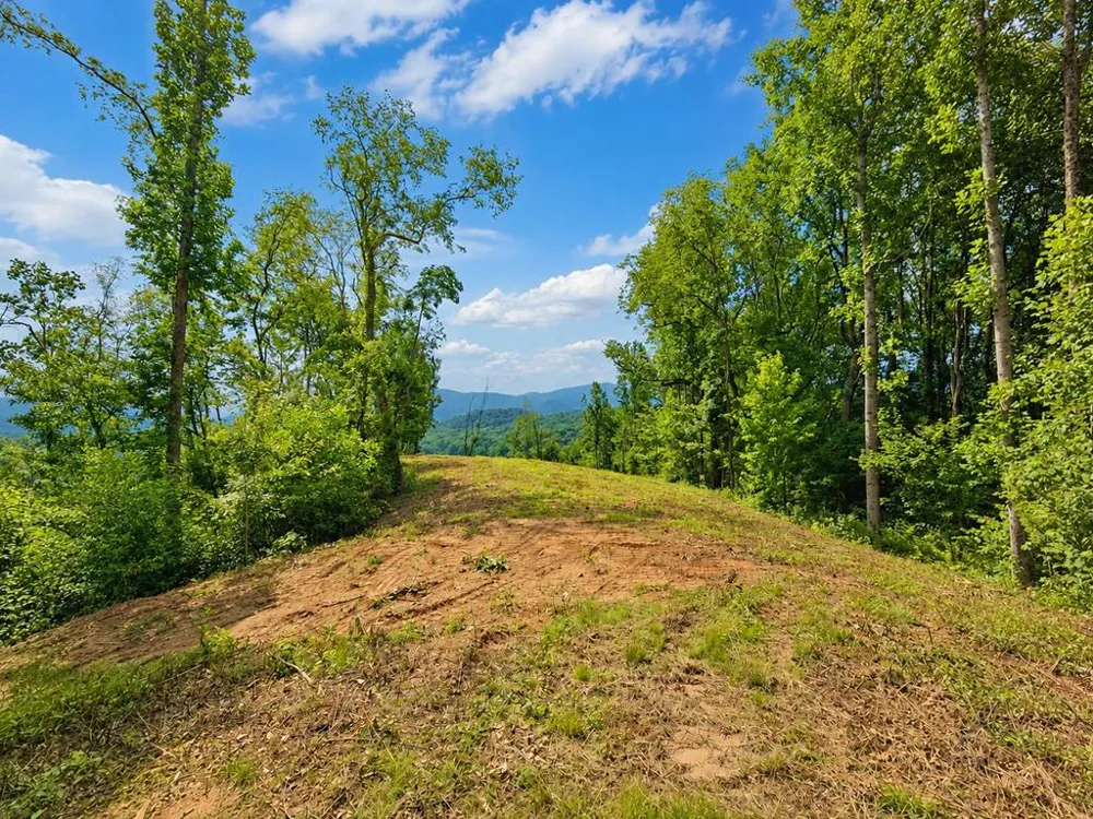 Sorrells Cove Rd Waynesville, NC 28786