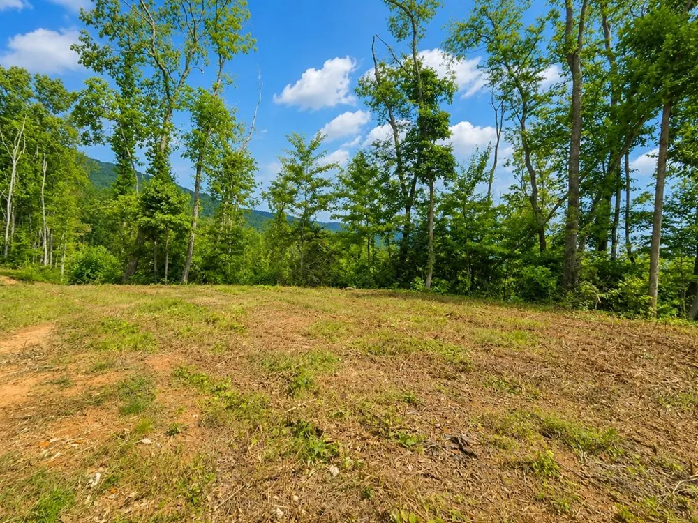 Sorrells Cove Rd Waynesville, NC 28786