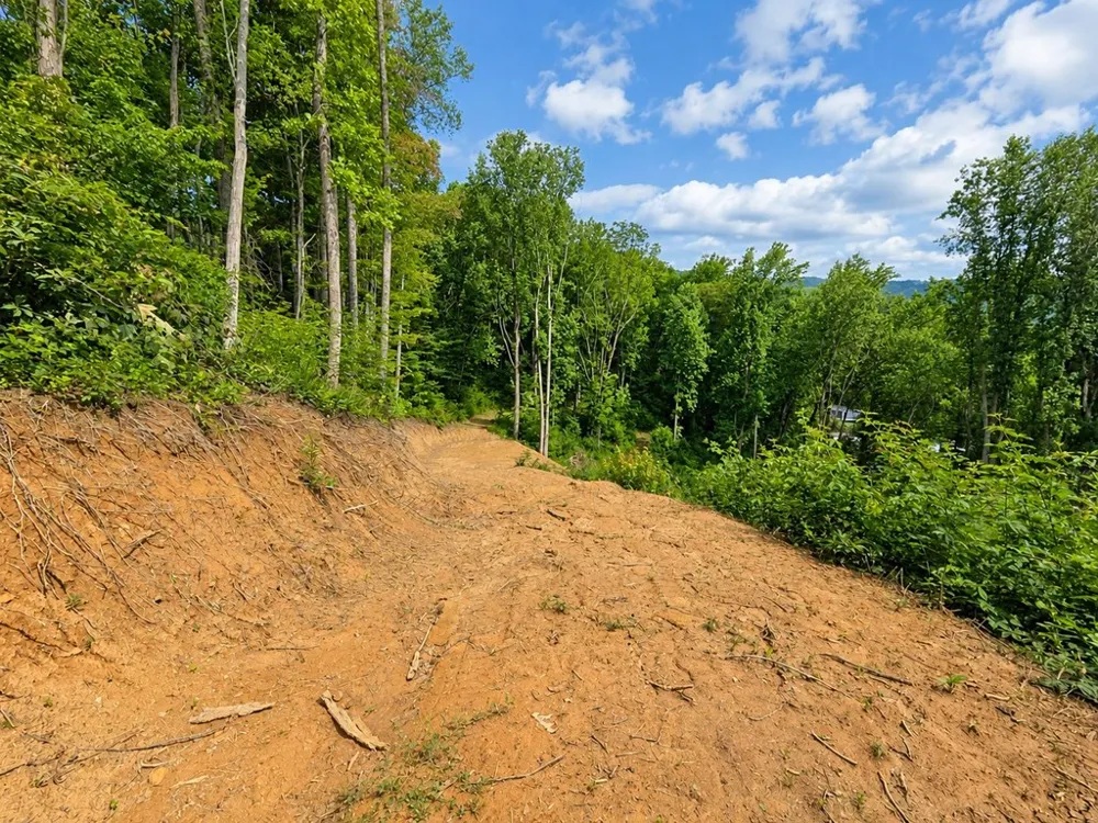 Sorrells Cove Rd Waynesville, NC 28786