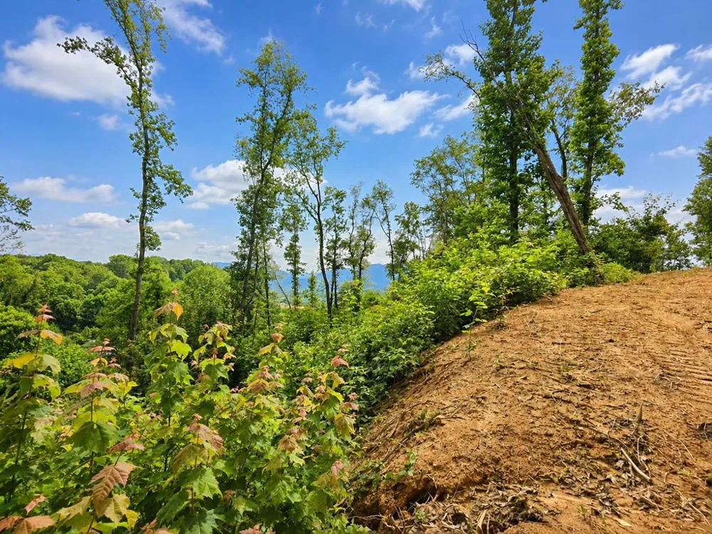 Sorrells Cove Rd Waynesville, NC 28786