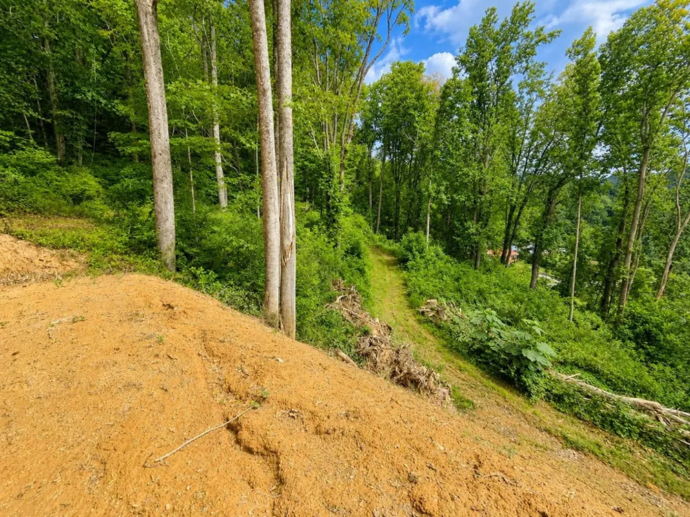 Sorrells Cove Rd Waynesville, NC 28786
