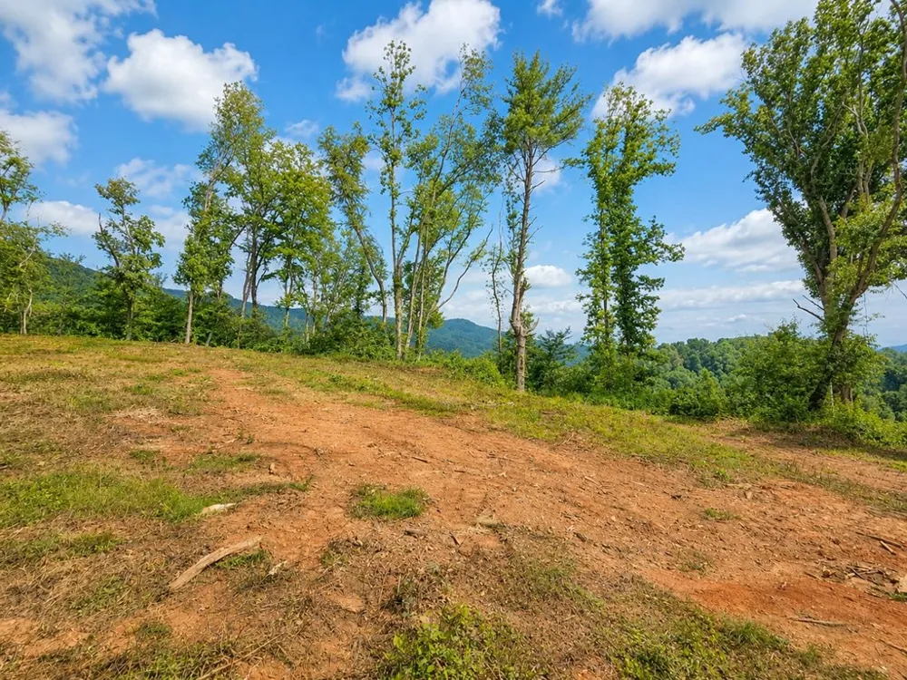 Sorrells Cove Rd Waynesville, NC 28786