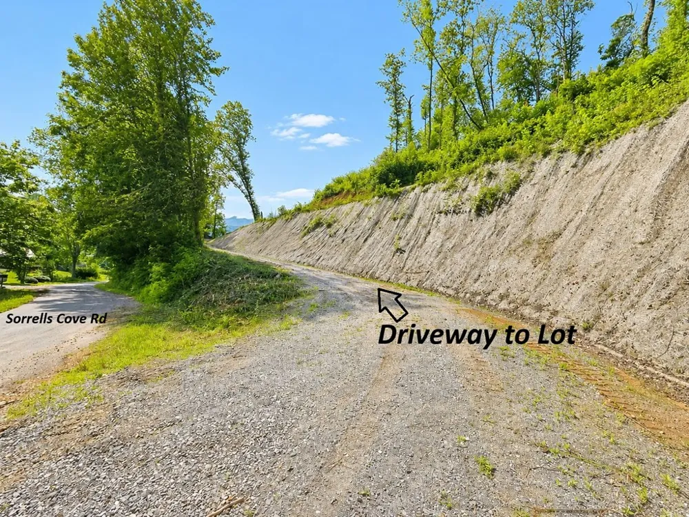 Sorrells Cove Rd Waynesville, NC 28786