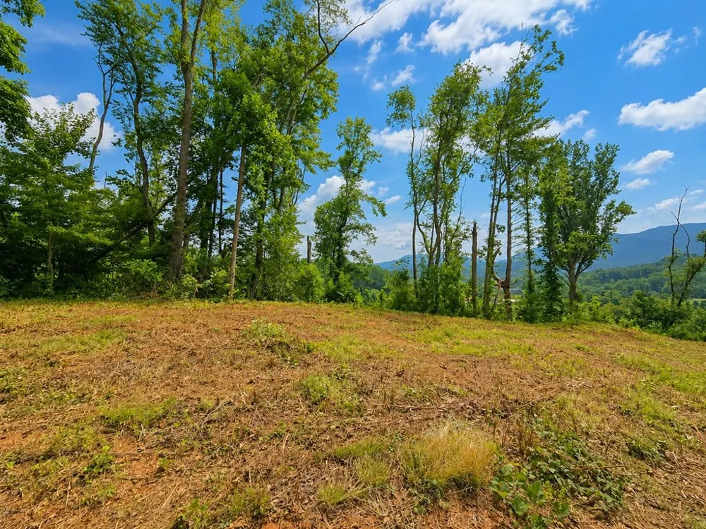 Sorrells Cove Rd Waynesville, NC 28786