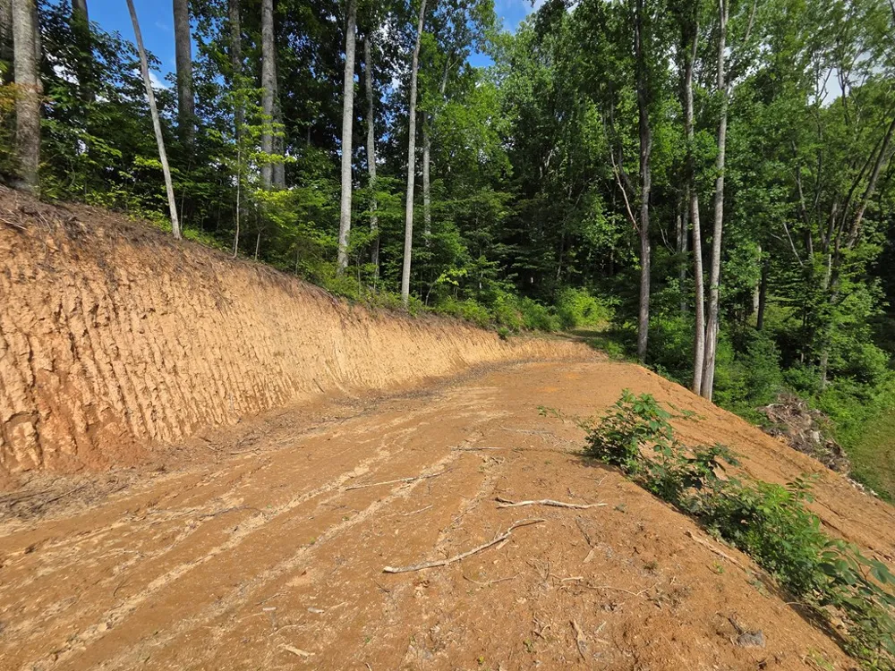 Sorrells Cove Rd Waynesville, NC 28786