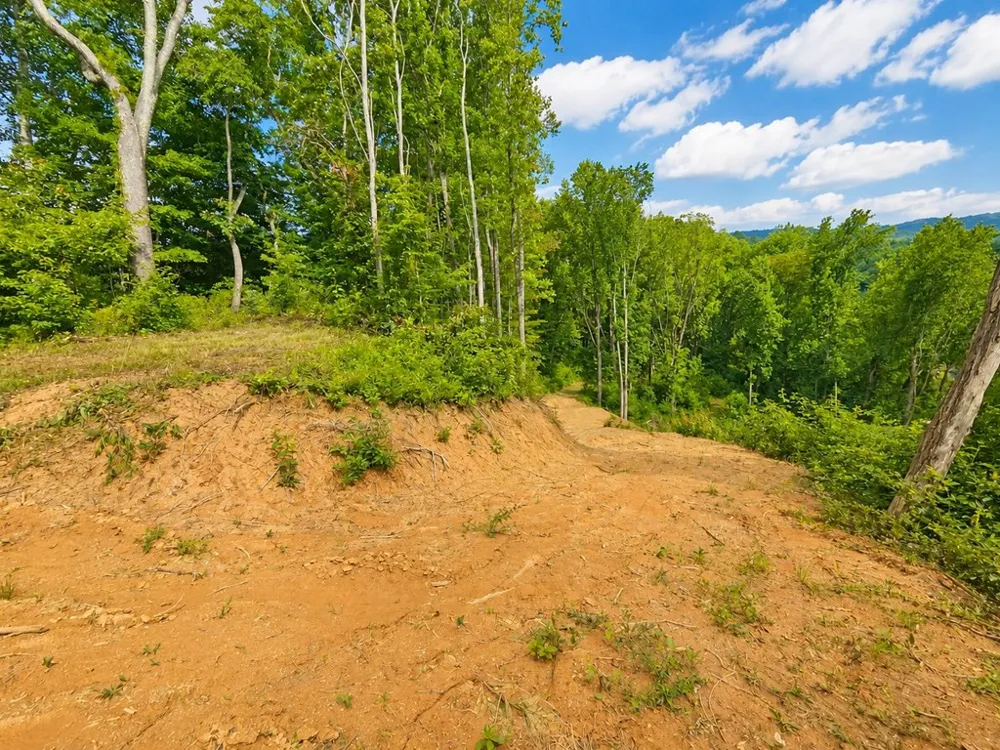 Sorrells Cove Rd Waynesville, NC 28786
