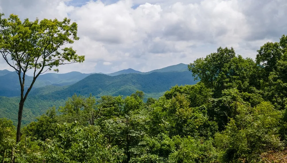 Whisper Mountain Rd Franklin, NC 28734