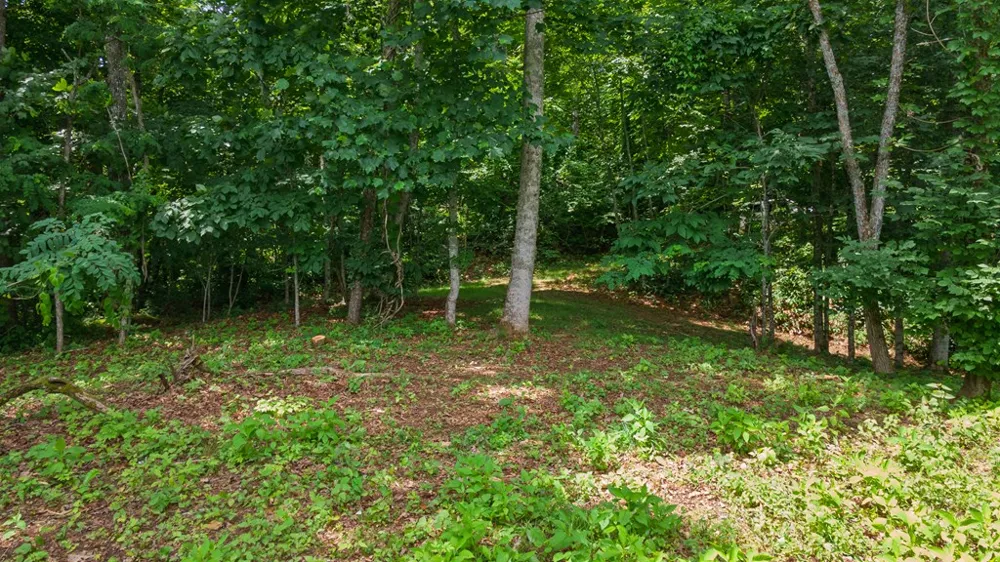 Whisper Mountain Rd Franklin, NC 28734