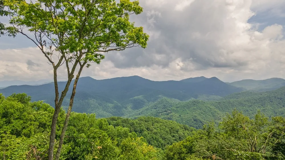 Whisper Mountain Rd Franklin, NC 28734